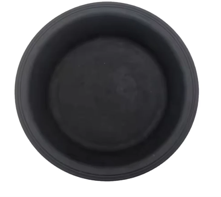 Diaphragm